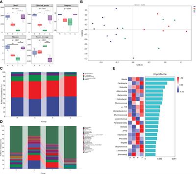 Oral administration of lysozyme protects against injury of ileum via modulating gut microbiota dysbiosis after severe traumatic brain injury